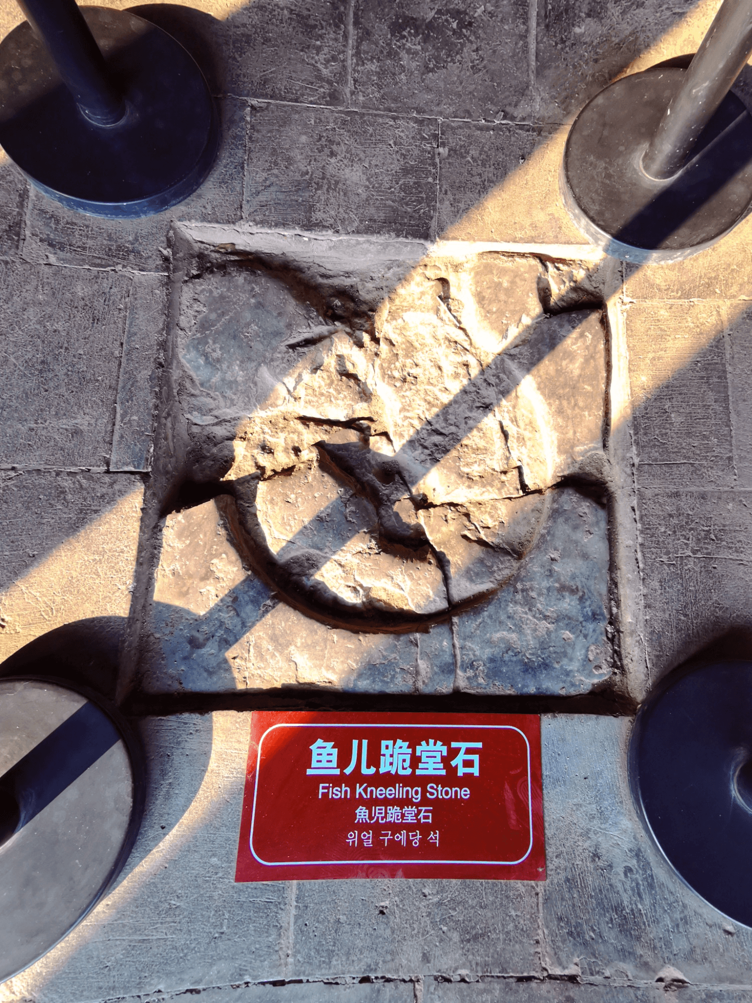 绛州署鱼儿跪堂石